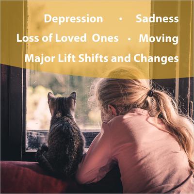 Life's Changes Calming Pet Supplement, 1-fl oz bottle