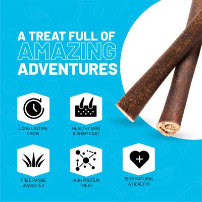 6-inch Collagen Bee Pollen Flavor Dog Natural Chew Treats, 6 count