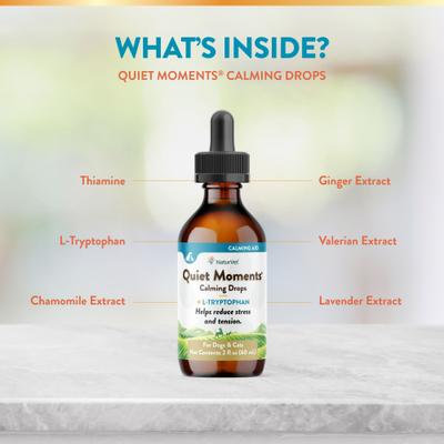 Quiet Moments Liquid Calming Supplement for Cats & Dogs, 2-fl oz bottle