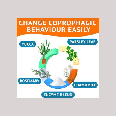 No Poo & Coprophagia Stool Eating Deterrent Probiotics & Digestive Enzymes Chews, 120 count