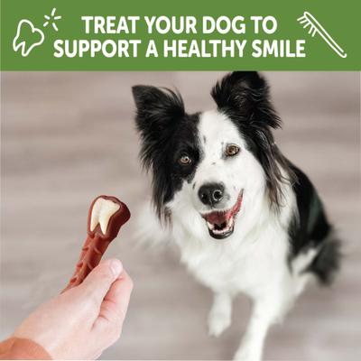 by Wellness Variety Box Dental Chews Natural Grain-Free Dental Dog Treats, Medium, 28 count