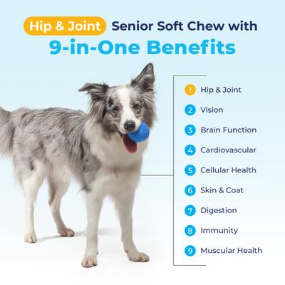 Seniorbliss Hip & Joint Mobility Plus Multivitamin Glucosamine Hickory Chicken & Bacon Flavored Soft Chew Supplement for Senior Dogs, 60 count