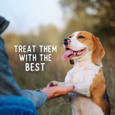 Whole Turkey Chips All Natural Single Ingredient Dog Treats, 8-oz bag