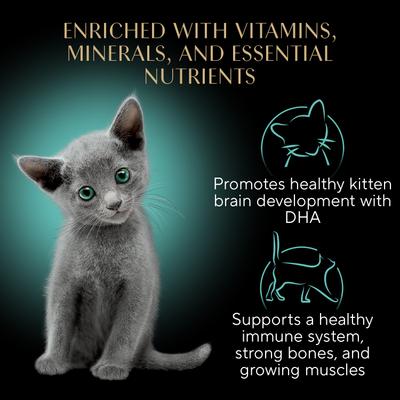 Perfect Portions Kitten Variety Pack Chicken Pate & Pate Salmon Wet Cat Food, 2.6-oz twin-pack tray, case of 24