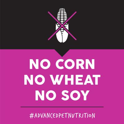 Lamb Meal & Brown Rice Dry Dog Food, 28-lb bag