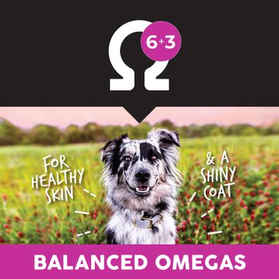 Lamb Meal & Brown Rice Dry Dog Food, 28-lb bag