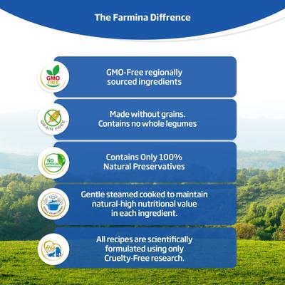 Natural & Delicious Prime Boar & Apple Canned Dog Food, 10-oz can, case of 6