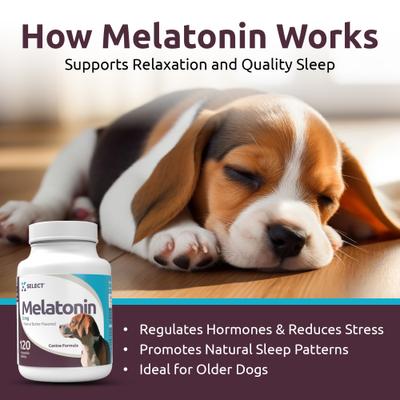 Melatonin Peanut Butter Flavor Calming Dog Supplement, 3-mg, 120 count