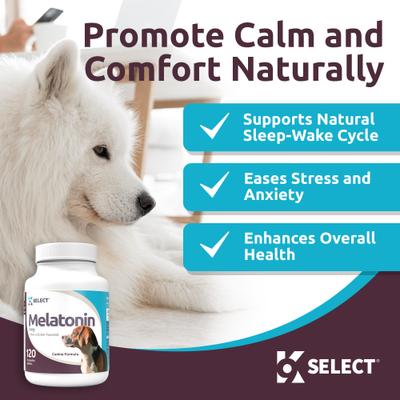 Melatonin Peanut Butter Flavor Calming Dog Supplement, 3-mg, 120 count