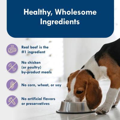 Divine Delights Porterhouse Flavor Pate Dog Food Trays, 3.5-oz, case of 12