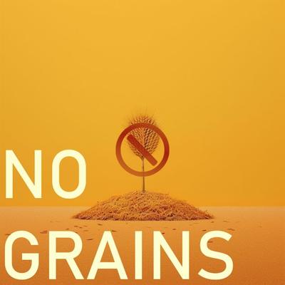 Freeze-Dried Salmon Cat & Dog Treats, 16-oz bag