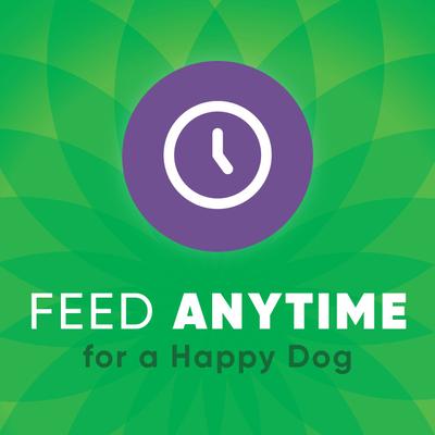 Anytime Bites Blueberry Flavor Soft & Chewy Dog Treats, 24-oz bag, bundle of 2