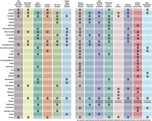 Anti-Itch Dog Shampoo, 16.9-fl oz bottle
