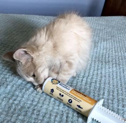 Ready Cal High Calorie Food Nutritional Gel Cat Supplement, 80-cc syringe