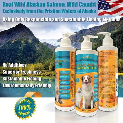 Pro Premium Wild Alaskan Salmon Oil Skin & Coat Dog & Cat Liquid Supplement, 16-fl oz bottle
