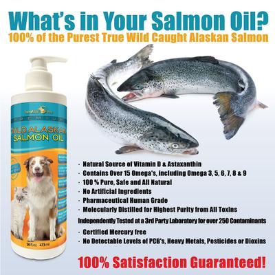 Pro Premium Wild Alaskan Salmon Oil Skin & Coat Dog & Cat Liquid Supplement, 16-fl oz bottle