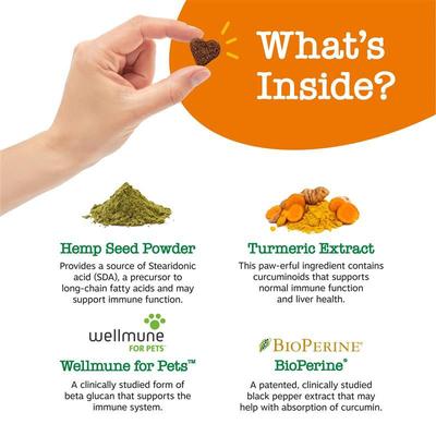 Hemp Elements Allergy & Immune Bites Cheese Flavored Soft Chews Supplement for Dogs, 90 count