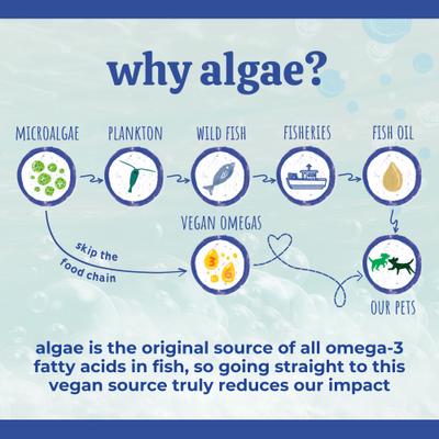 Blanca's Marine Algae Oil Vegan Omega Liquid Skin & Coat Supplement for Dogs, 16-fl oz bottle