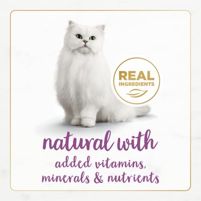 Gourmet Naturals Beef Recipe Pate Canned Cat Food, 3-oz, case of 12