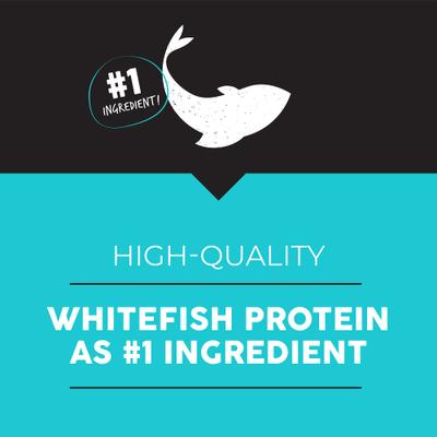 Bayside Select Fish & Potato Grain-Free Dry Dog Food, 28-lb bag