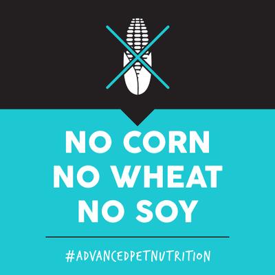 Bayside Select Fish & Potato Grain-Free Dry Dog Food, 28-lb bag