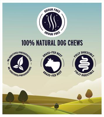 Canada Made Bully Sticks Dog Treats, 5-7-in, 6 count