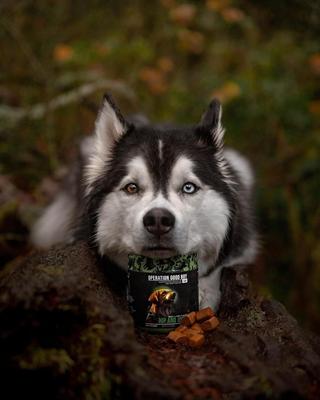 Beef Flavored Hip & Joint Supplement for Dogs, 90 count