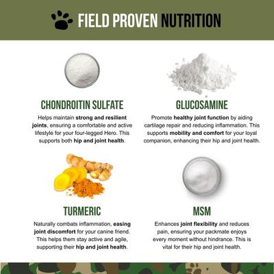 Beef Flavored Hip & Joint Supplement for Dogs, 90 count