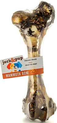 Mammoth Femur Bone Dog Treat, 1 count
