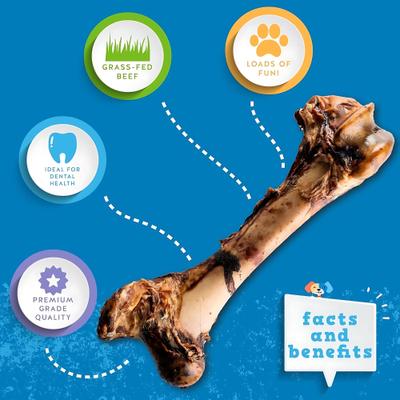 Mammoth Femur Bone Dog Treat, 1 count