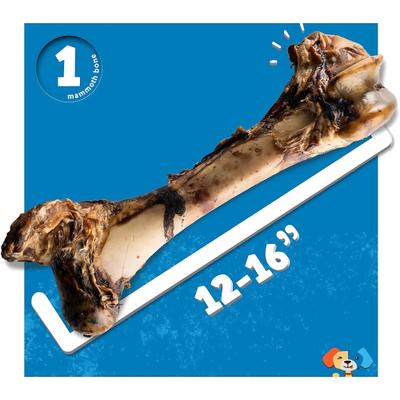Mammoth Femur Bone Dog Treat, 1 count