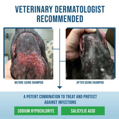 Command Deep-Cleansing Dog & Cat Shampoo, 12-fl oz bottle