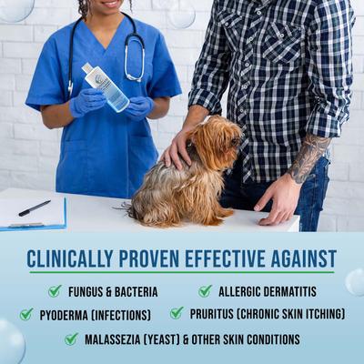 Champú de limpieza profunda Command para perros y gatos, botella de 355 ml