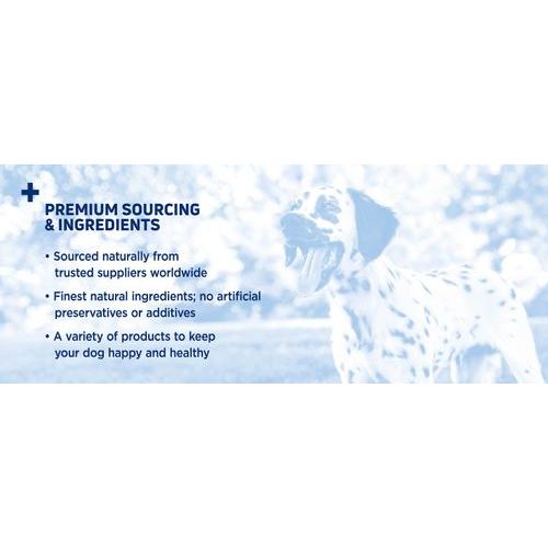 Palitos masticables para perros Bully Sticks estándar sin olor de 12 pulgadas, 1 unidad