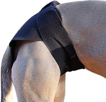 Rear Anxiety Vest for Dogs, Large