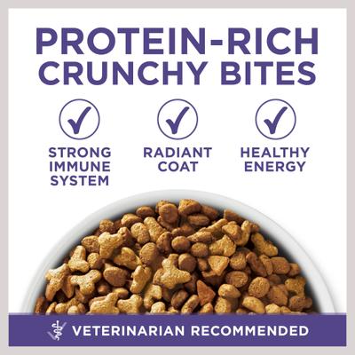 +Plus Hairball Formula Natural Adult Dry Cat Food, 3.5-lb bag