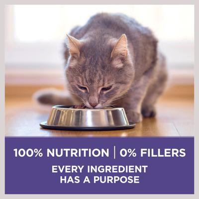 +Plus Hairball Formula Natural Adult Dry Cat Food, 3.5-lb bag