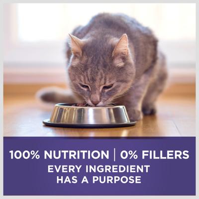 +Plus Hairball Formula Natural Adult Dry Cat Food, 3.5-lb bag