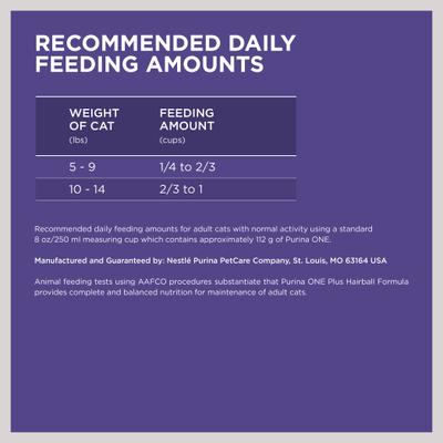 +Plus Hairball Formula Natural Adult Dry Cat Food, 3.5-lb bag