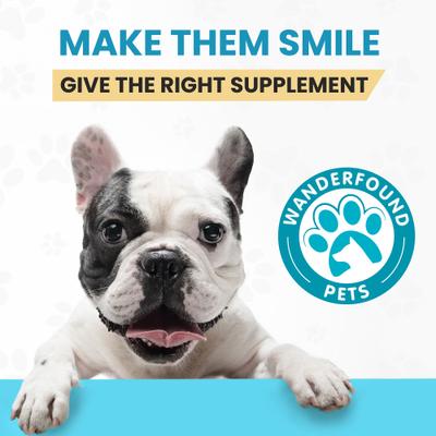 Omega 3-6-9 Skin & Coat Health Smoked Salmon & Liver Flavor Dog Supplement, 120 count