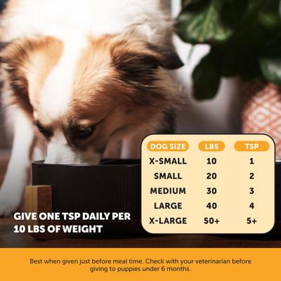 Allergy Anti-Itch Salmon Oil Turkey Flavored Allergy & Itch Relief Supplement for Dogs, 16-fl oz bottle