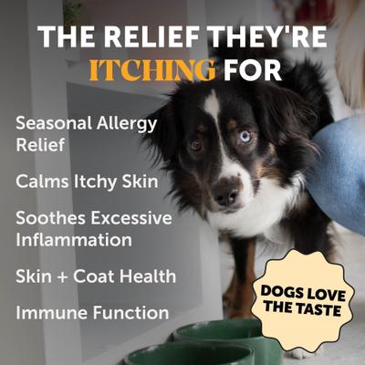 Allergy Anti-Itch Salmon Oil Turkey Flavored Allergy & Itch Relief Supplement for Dogs, 16-fl oz bottle