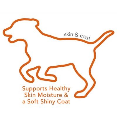 Chicken Flavored Soft Chews Skin & Coat Supplement for Dogs, 30 count