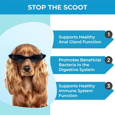 Stop Scooting Dog Supplements, 60 count