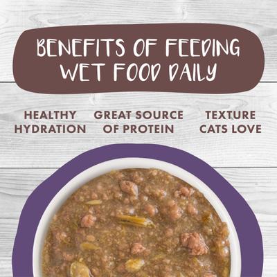 Classic Cat Too Hot to Handle Chicken, Duck & Salmon in Gravy Stew Cat Food Pouches, 3-oz pouch, 12 count