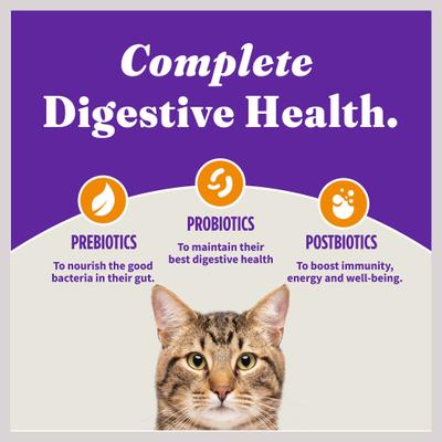 Holistic Indoor Chicken Recipe Complete Digestive Health & Healthy Weight Support Adult Grain-Free Cage-Free Dry Cat Food, 6-lb bag