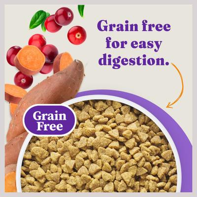 Holistic Indoor Chicken Recipe Complete Digestive Health & Healthy Weight Support Adult Grain-Free Cage-Free Dry Cat Food, 6-lb bag