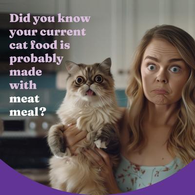 Holistic Indoor Chicken Recipe Complete Digestive Health & Healthy Weight Support Adult Grain-Free Cage-Free Dry Cat Food, 6-lb bag