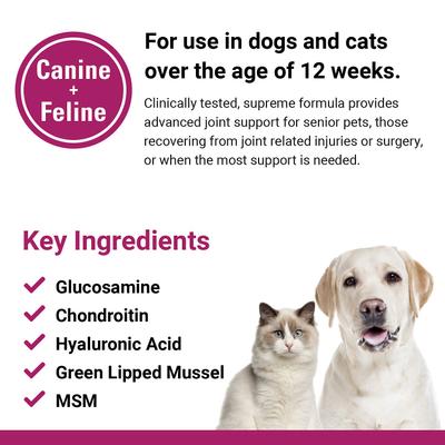 ArthriEase-GOLD Hip & Joint & Support Chewable Tablets Dog & Cat Supplement, 120 count