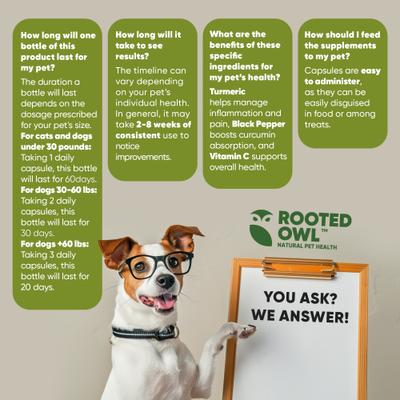 Natural Turmeric Vegan Capsules Vitamin Supplement with Black Pepper for Dogs & Cats, 60 count